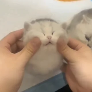 🥱