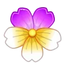 🌸
