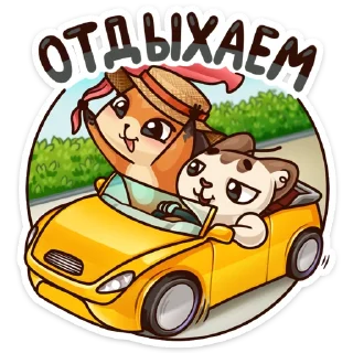 🚗