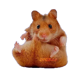 🐹