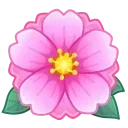 🌸
