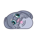 🤪