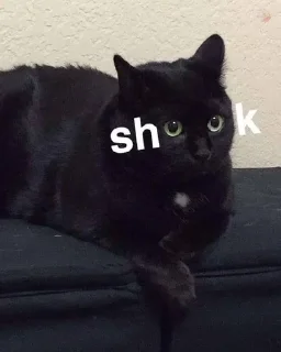 😳