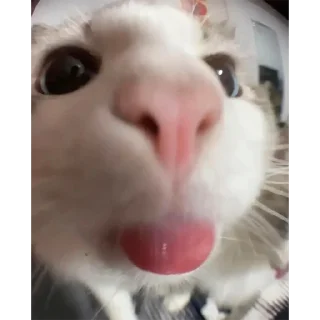 😁