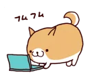 🐶