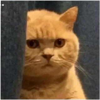 😐
