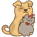 🐱