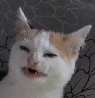 🙂