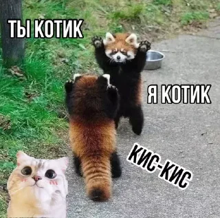 🤗