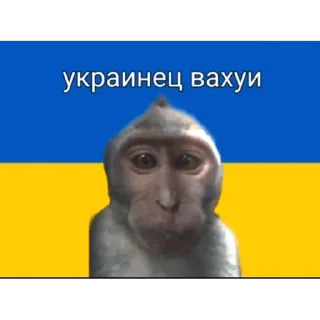 🐵