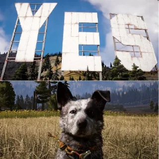 🐶