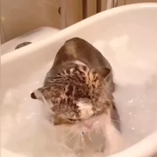 💧