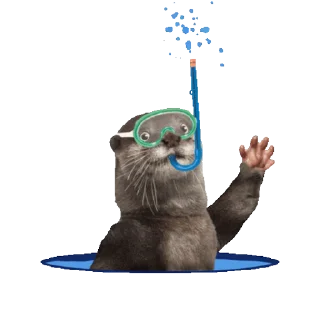 👋