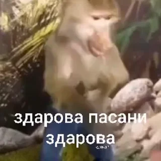 🤩
