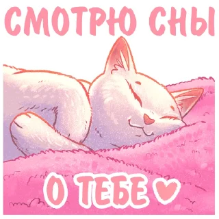 😴