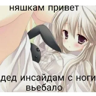 😼