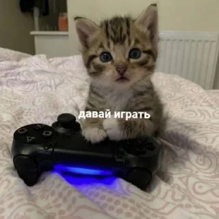 🎮