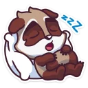😴
