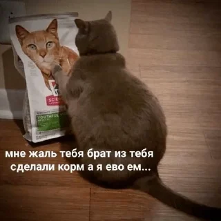 😣