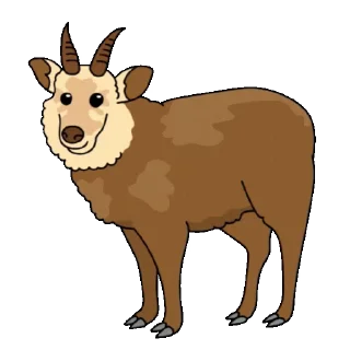 🐏
