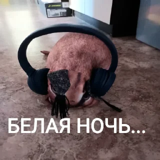 😞