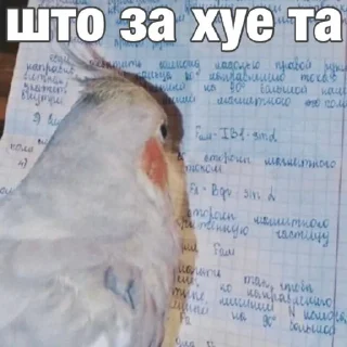 😐