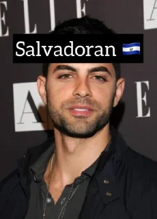 🇸🇻