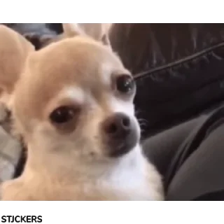 😭
