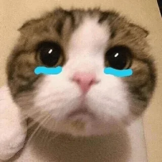 🥺