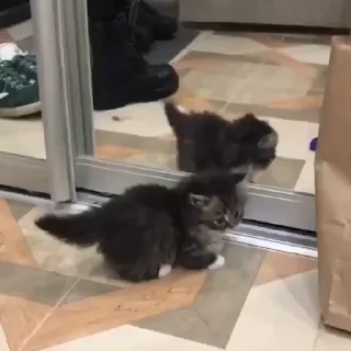 💋