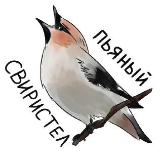 🐦