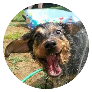 😝