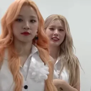 ✌️
