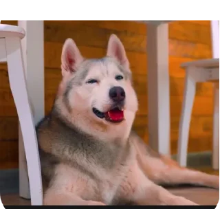 👍