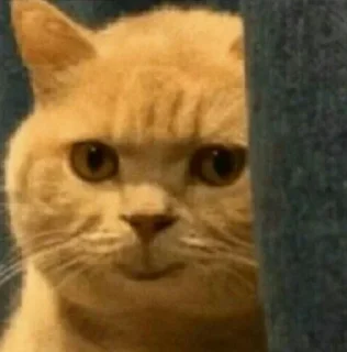 😈