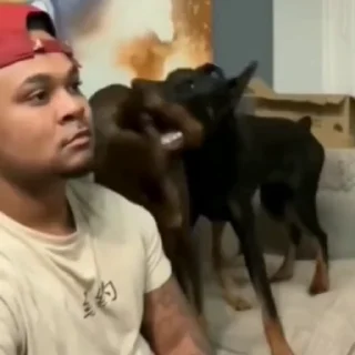 😱