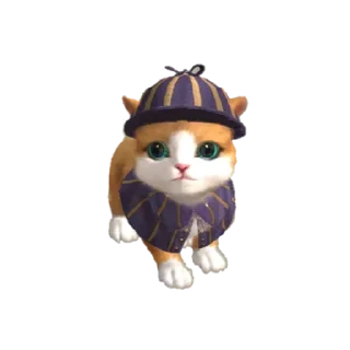 🐱