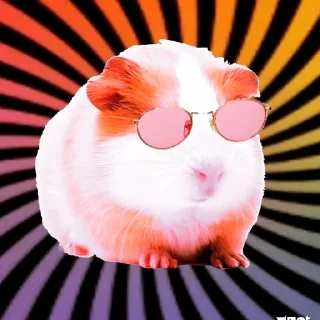 ХоМяЧиЙ дВиЖ @soundsfromthevagina