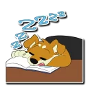 💤