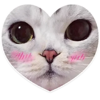 💖