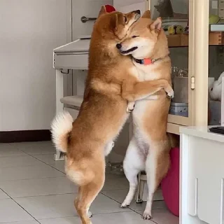 🤗