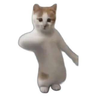 💃