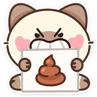 💩