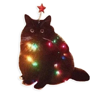 🎄