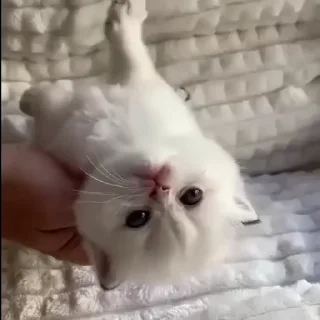 ☺️