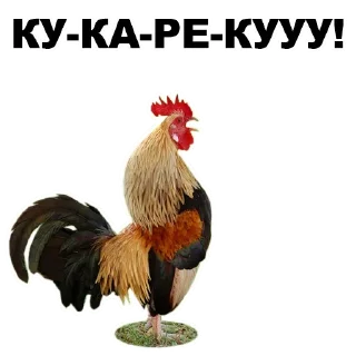👍