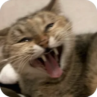🤯