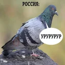 😄
