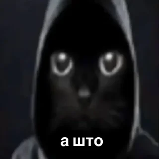 😎