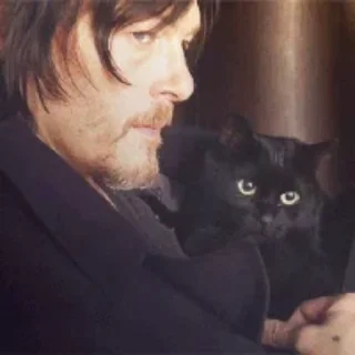 🐈‍⬛